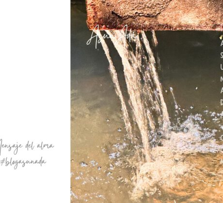 Silencios de la vida​-fuente-agua-blogasunada