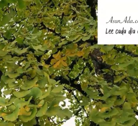 Sonidos que enganchan​-ginkgobiloba-blogasunada