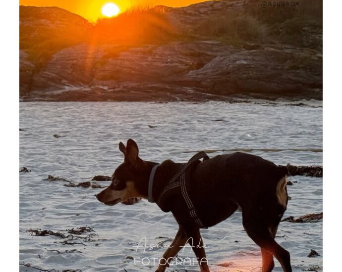 Sorpresas de la vida, canalización por Asun Adá