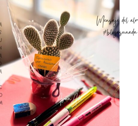 Trato por igual-cactus “gracias por hacerme crecer”-blogasunada